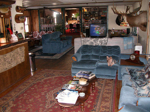 Colonial Inn Pine Hill Luaran gambar
